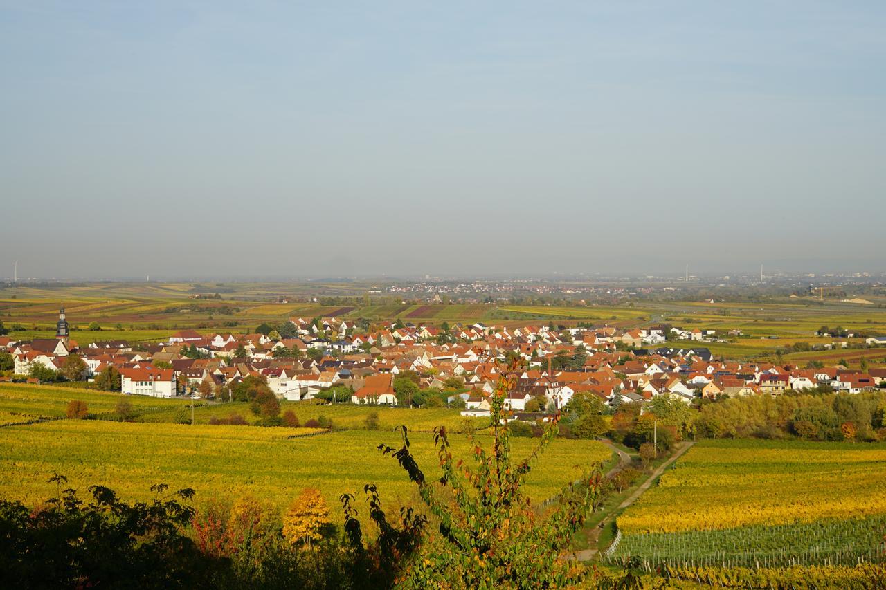 Ferienwohnung Knittel Kallstadt Esterno foto