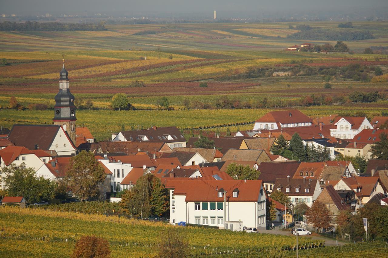 Ferienwohnung Knittel Kallstadt Esterno foto